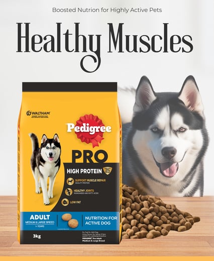 Pedigree Pro High Protein dog food pack for active adult dogs, featuring a happy Siberian Husky and