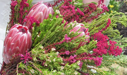 bouquet of pink flowers and green foliage