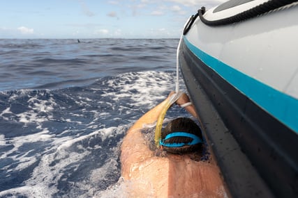 Snorkeling with a wild dolphin, Madeira