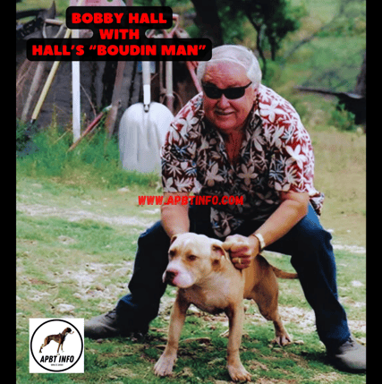BOBBY HALL APBT BREEDER AND HALL'S BOUDIN MAN GAMEDOG HISTORY