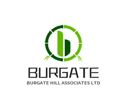 BURGATE HILL ASSOCIATES LTD logo