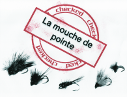 La mouche de pointe logo