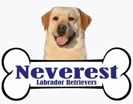 Neverest Labrador  Retrievers logo