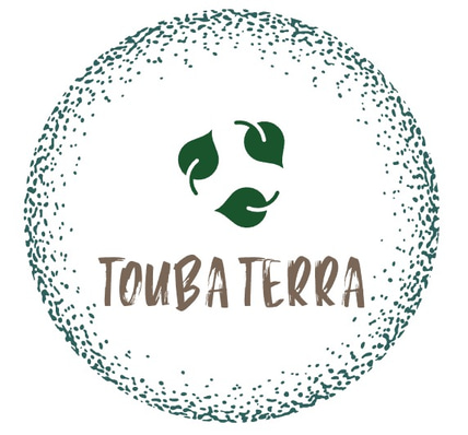 Terra Touba logo