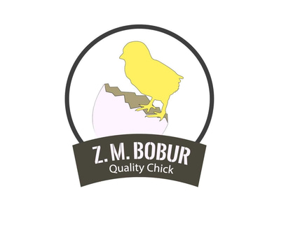 Z.M Bobur logo