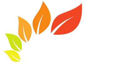 AIFF logo