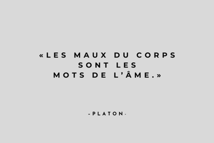 a quote from the french writer of the novel, les mauves