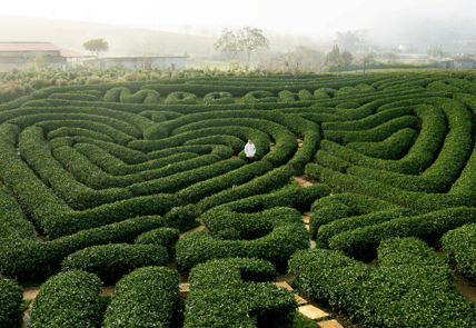 labyrinthe