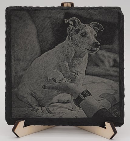 Hund auf einem Sofa, gibt Fötchen, Bild ist auf einer Schieferplatte, monochrome Farbe