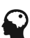 Brain Tumor