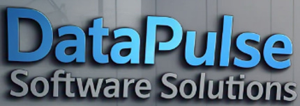 DataPulse Software Solutions logo