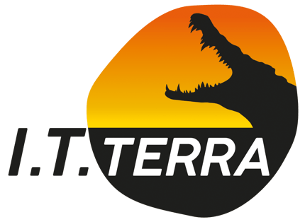 IT-Terra logo
