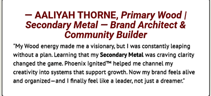 DM screenshot of Wood + Metal Archetype – Visionary entrepreneur celebrates discovering her strategic dual archetype