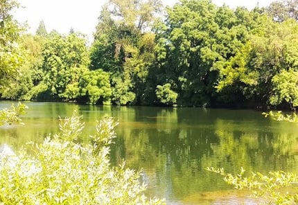 Roseburg - Stewart Park runs along the Umpqua River for added water sports