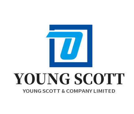 YOUNG SCOTT & COMPANY LIMITED logo