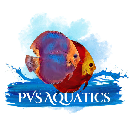 PVS Aquatics logo