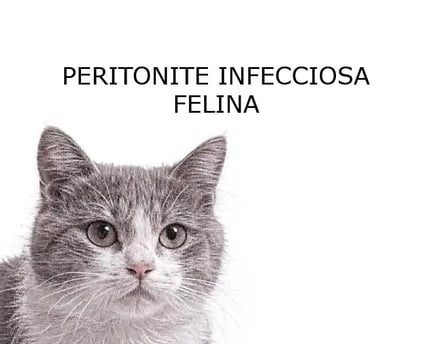 PIF