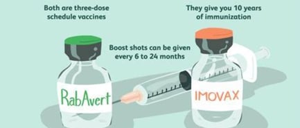 vaccination's