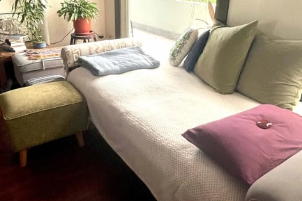bed for qhht with elisa using dolore cannon method for quantum healing