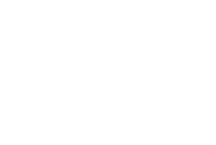 Red Phoenix EA logo