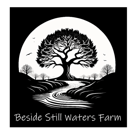 Beside Still Waters logo