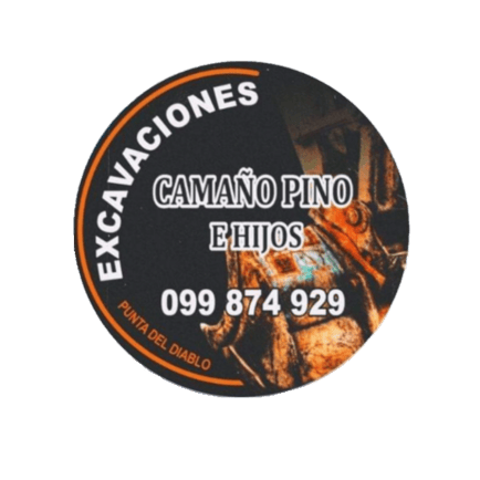Camaño pino e hijos logo