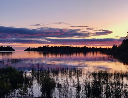 A marshy shoreline area that may be reviewed as part of a Natural Heritage Evaluation.