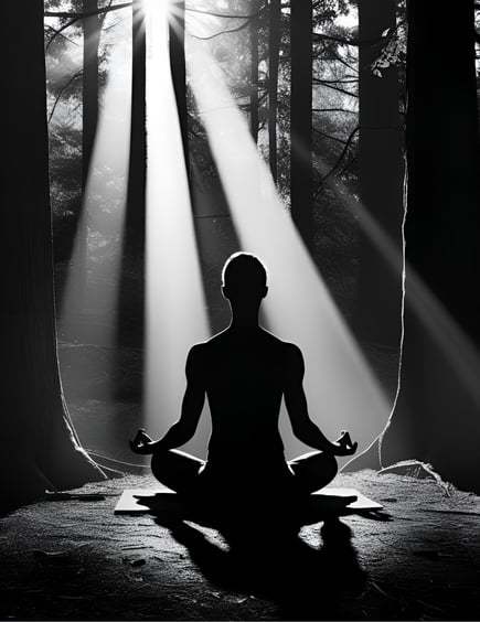 a person meditating in the woods deep dive shadow work coaching with lvf lvflvx.com coach healing