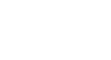 THE WEDDING FIRM logo