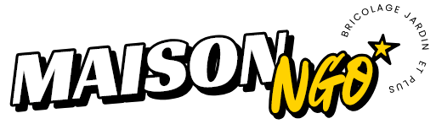 maisonngo logo