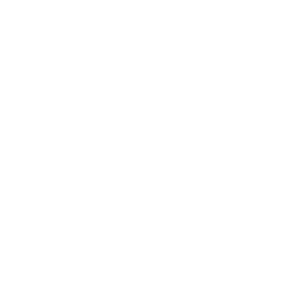 Pixel Mind Studio  logo