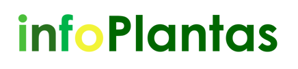 Info Plantas logo