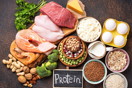 Protein: Building Blocks for Well-being