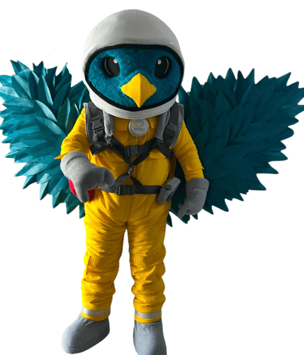fabricacion de botargas personalizadas