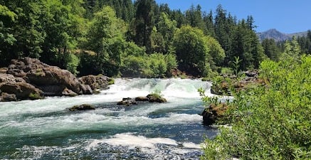 Waterfall Hwy, OR -Salmon jump up the Deadline Falls waterfall