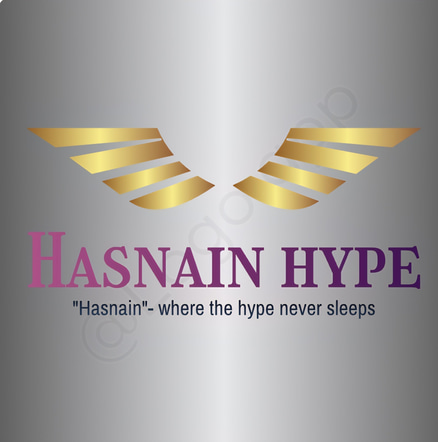 HASNAIN HYPE LTD logo