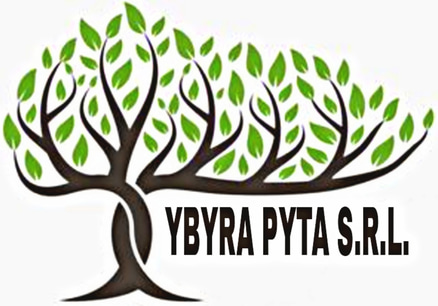 Ybyra Pyta S.A. logo