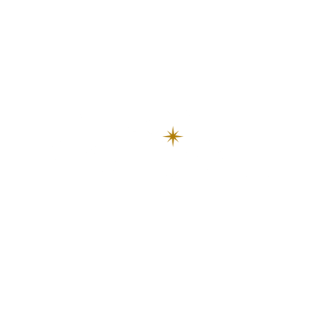 WayFinder Women logo