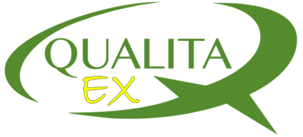 Qualita EX logo
