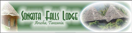 Songota Falls Lodge logo