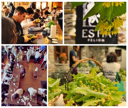 Herbal workshops at Estia Pelion at Portaria with medical herbalist Emmanouil Manos