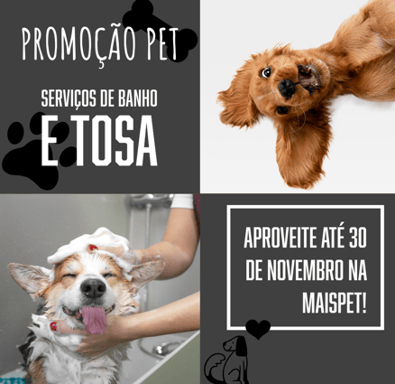 exemplo instagram 2