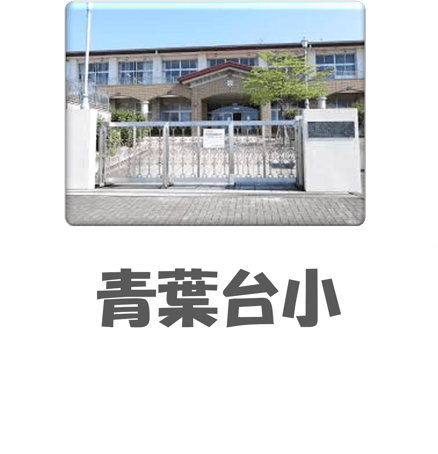 Aobadai Elementary School Image