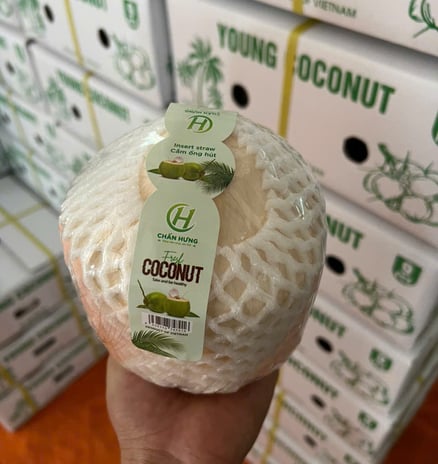 Coconut from Chan Hung