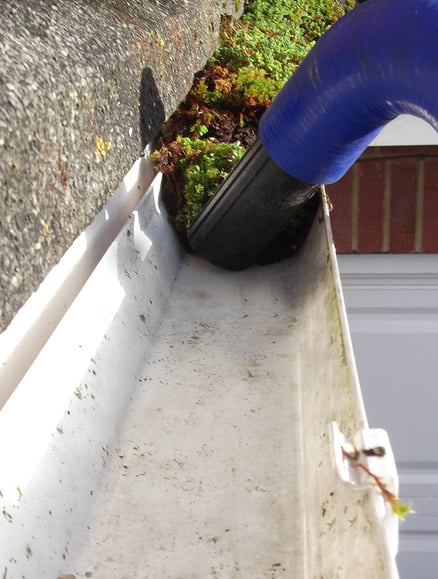 Gutter vac clearing a gutter of massive growth