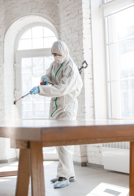 mold-removal-provo-ut-city