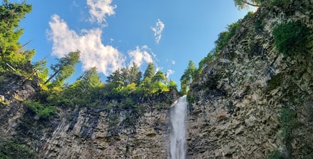 Waterfall Hwy - Watson Falls drops 293 feet into a hole made by a volcano eruption