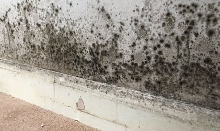 Humedades en paredes comunes en Valencia y alrededores
