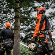 Tree Removal