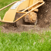 Stump Grinding